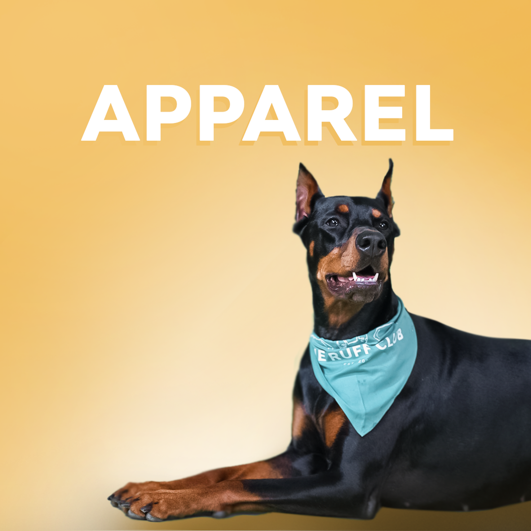 Apparel