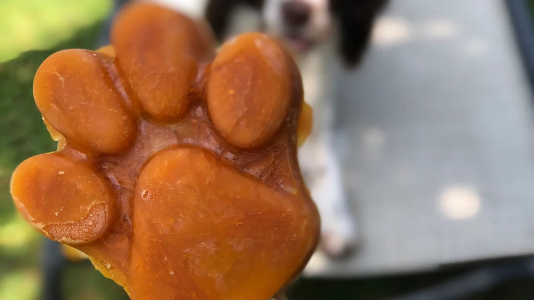 Pawsicle Ice Lolly Mould