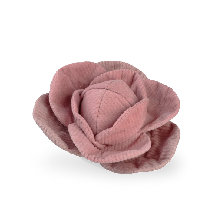 Cabbage Pop | Mauve