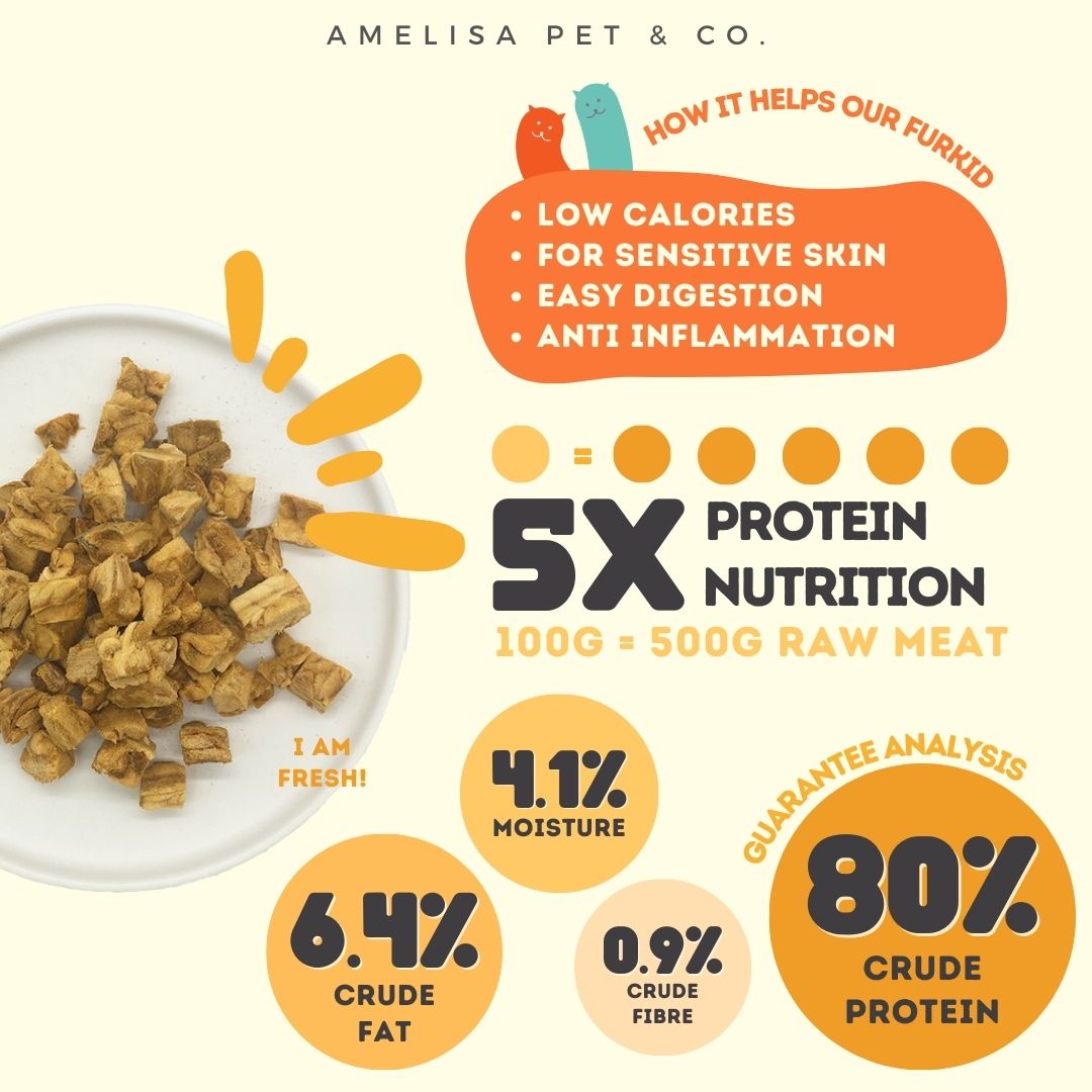 Rawly Bites | Freeze Dried Salmon