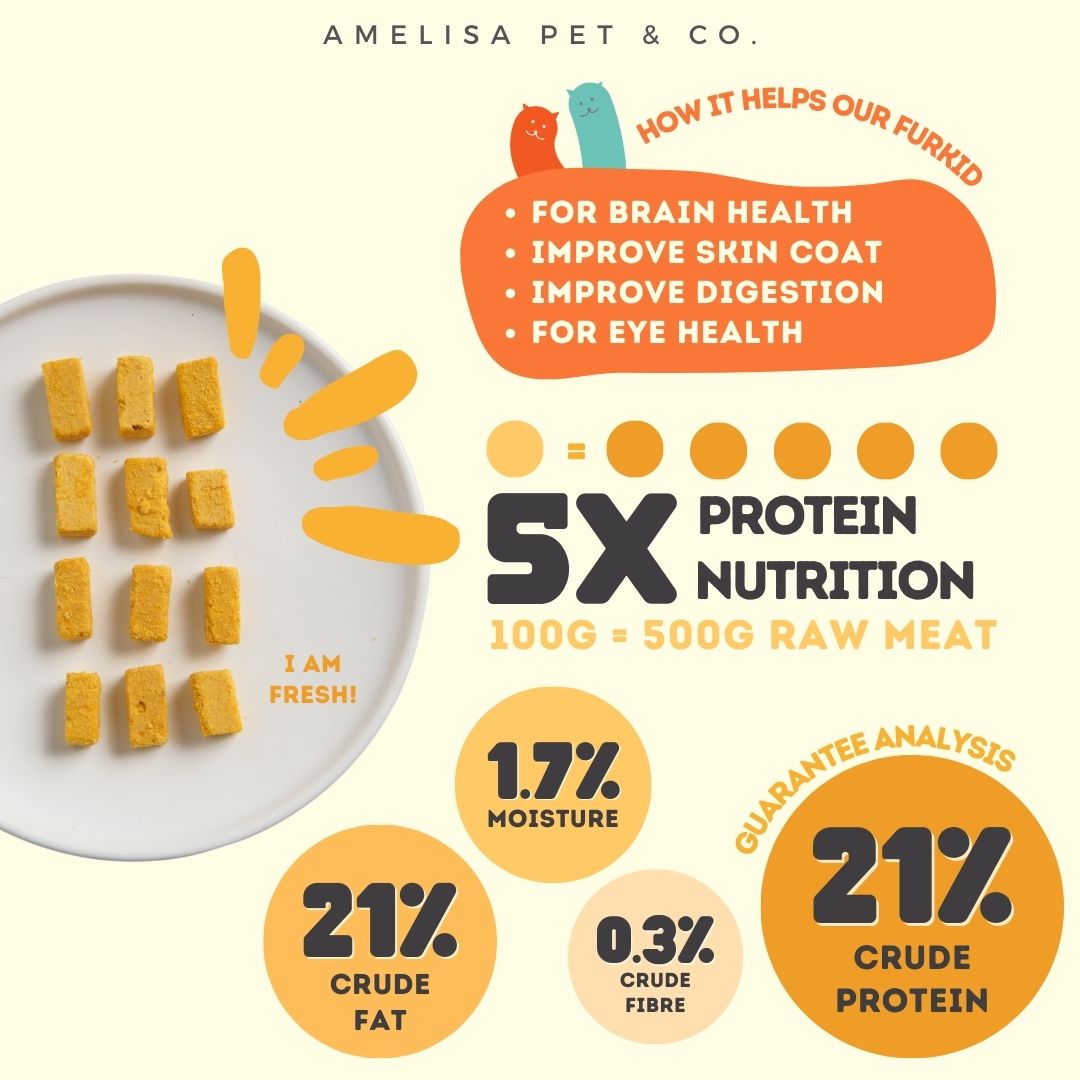Rawly Bites | Freeze Dried Pumpkin & Egg
