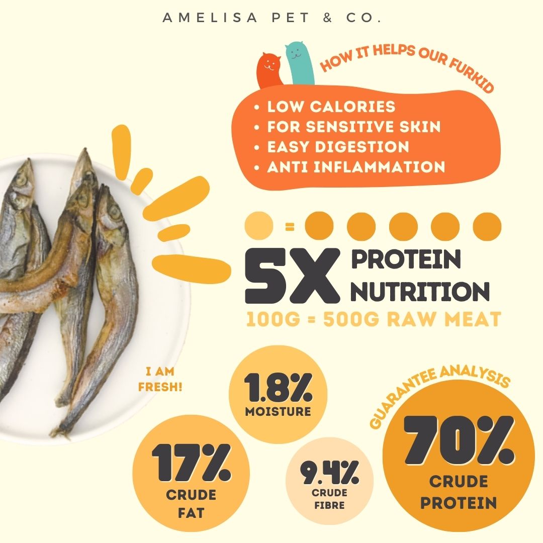 Rawly Bites | Freeze Dried Capelin