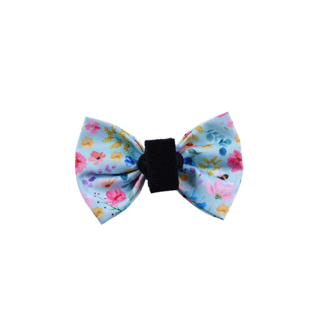 Bow Tie | Bow Tie