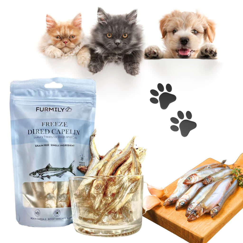 Freeze Dried Capelin Fish