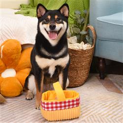 Picnic Time | Picnic Basket