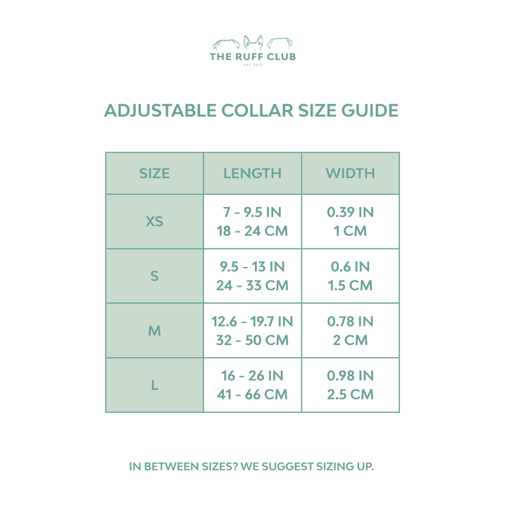Adjustable Collar | Bumble & Bloom