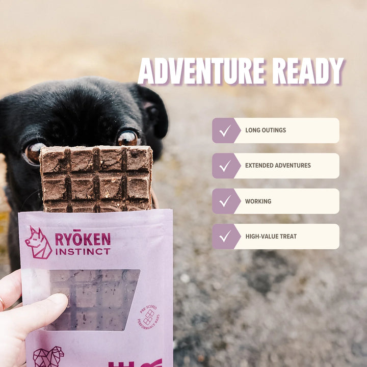 Lamb | Adventure Ready Bar