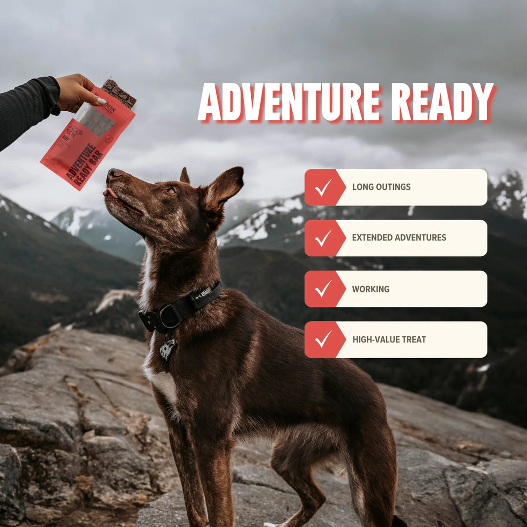 Beef | Adventure Ready Bar
