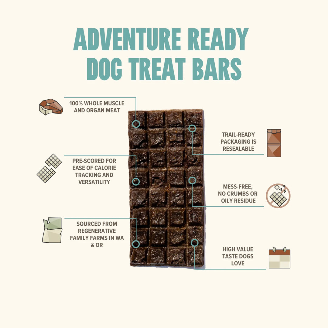 Seafood | Adventure Ready Bar