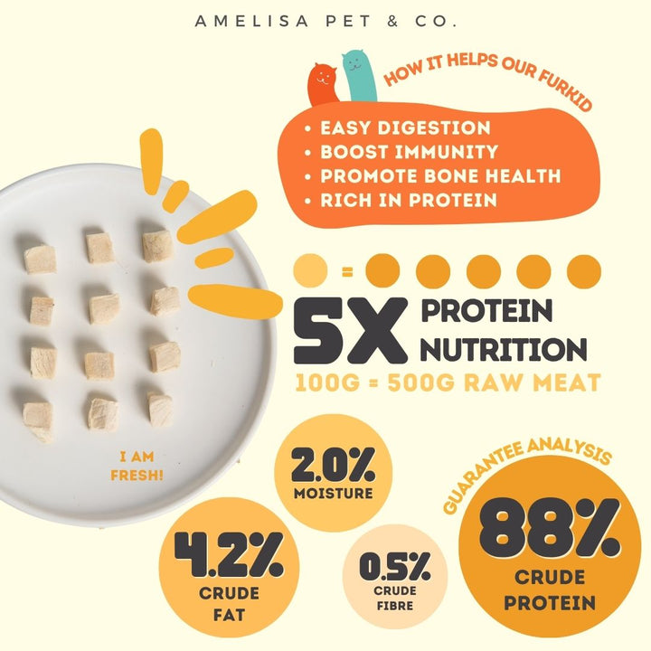 Rawly Bites | Freeze Dried Chicken