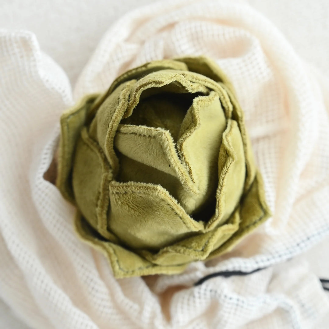 Artichoke