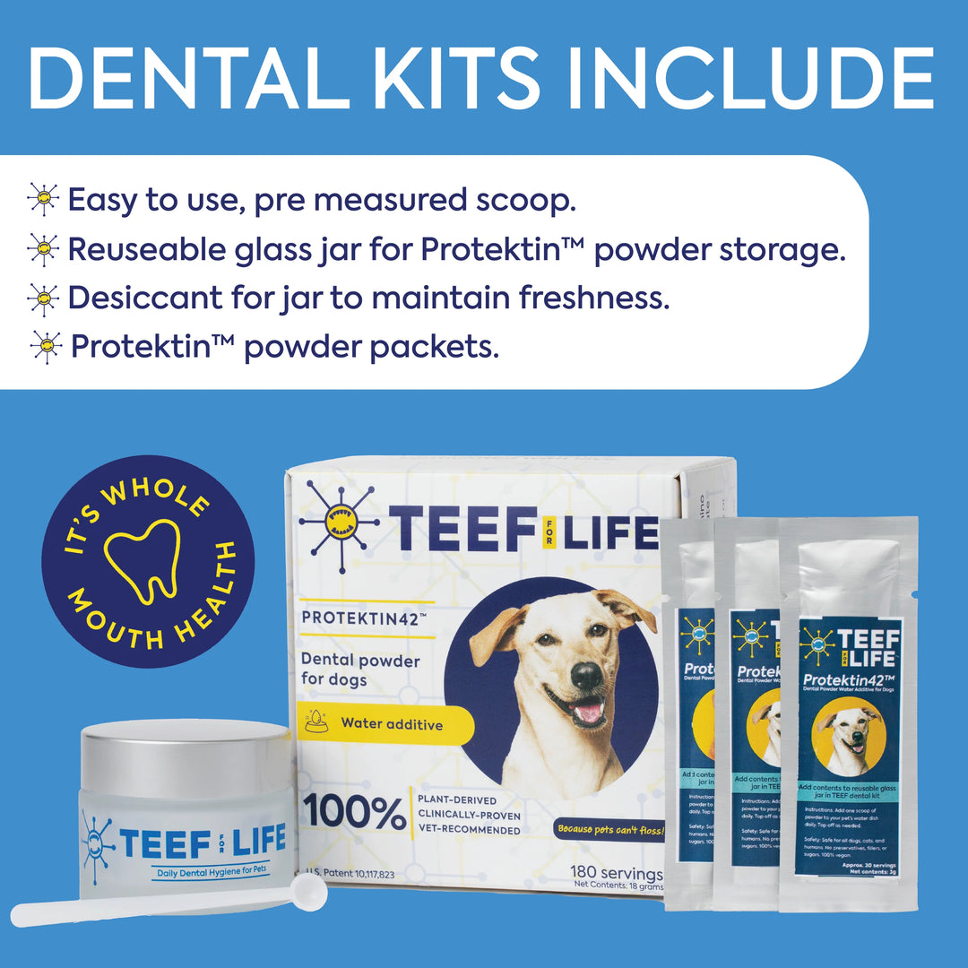Refill Powder Packet: TEEF for Life - Protektin30™ Prebiotic Dental Powder for Cats