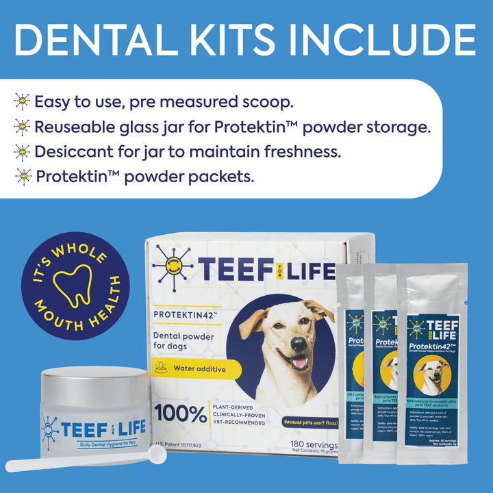 Dental Kits: Protektin42K - Prebiotic Dental Powder for All Pets