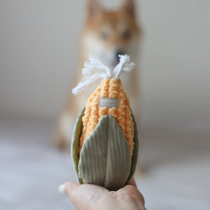 Corn & Leek Set