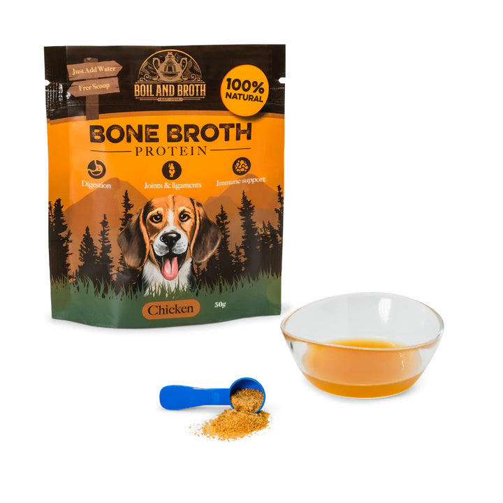 Chicken Bone Broth for Dogs & Cats