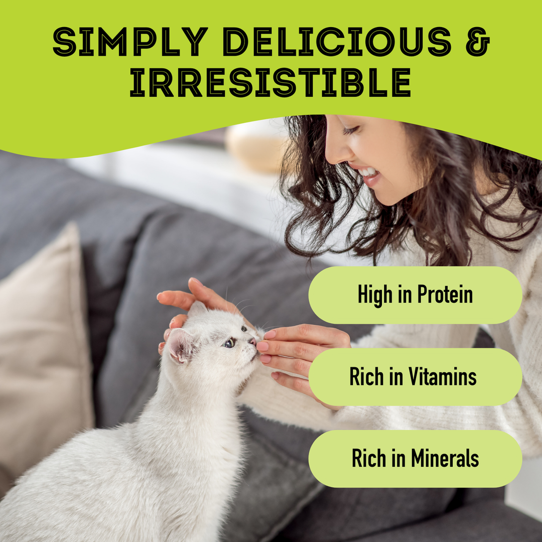Premium Dehydrated Protein Chicken Breast Treat For Dogs & Cats