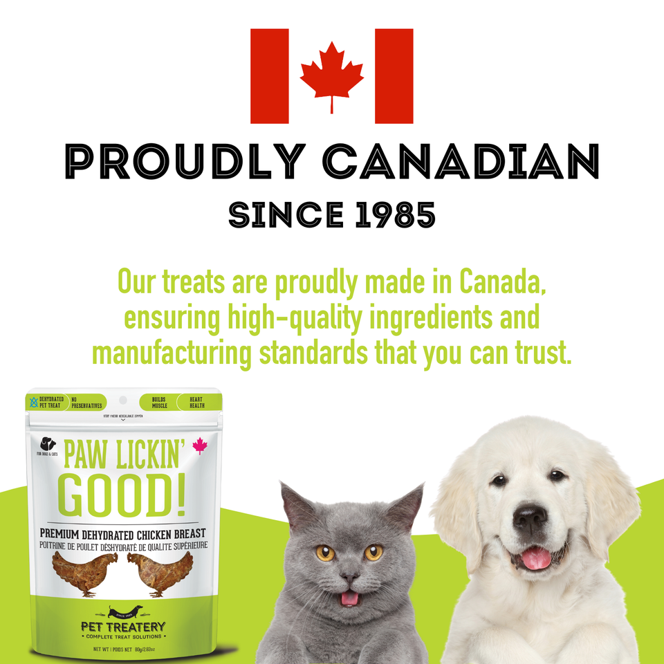 Premium Dehydrated Protein Chicken Breast Treat For Dogs & Cats