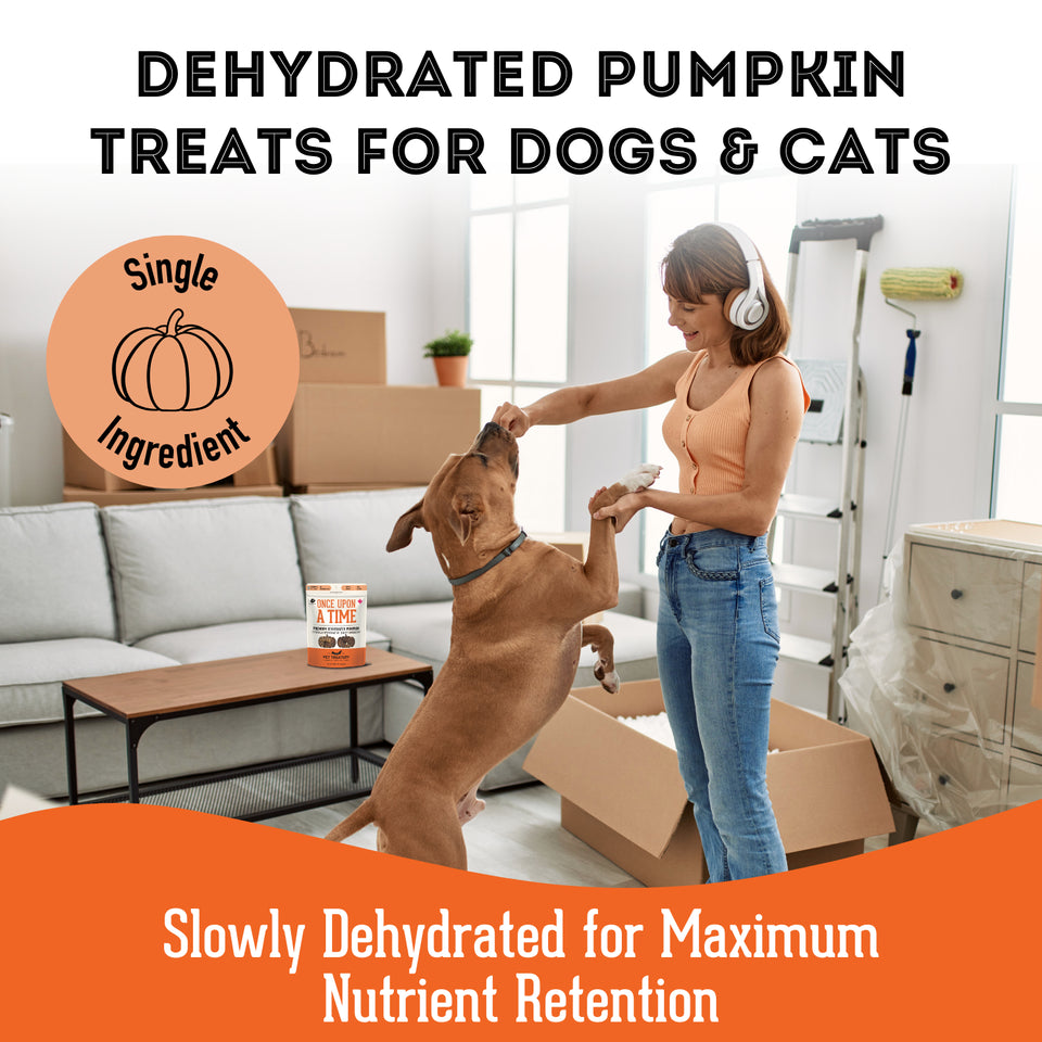 Premium Dehydrated Treats - Pumpkin Treat For Dogs