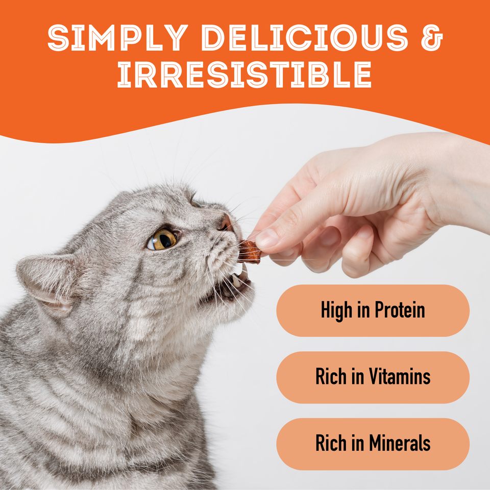 Premium Dehydrated Treats - Pumpkin Treat For Dogs