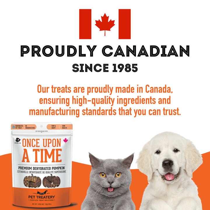 Premium Dehydrated Treats - Pumpkin Treat For Dogs