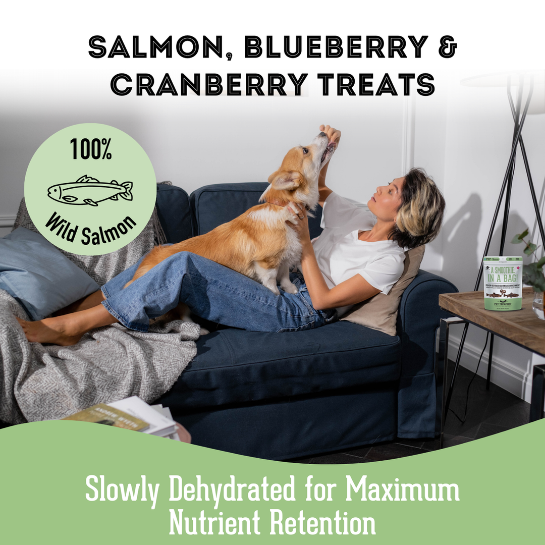 Premium Dehydrated Protein Salmon, Cranberry & Blueberry Treat For Dogs & Cats