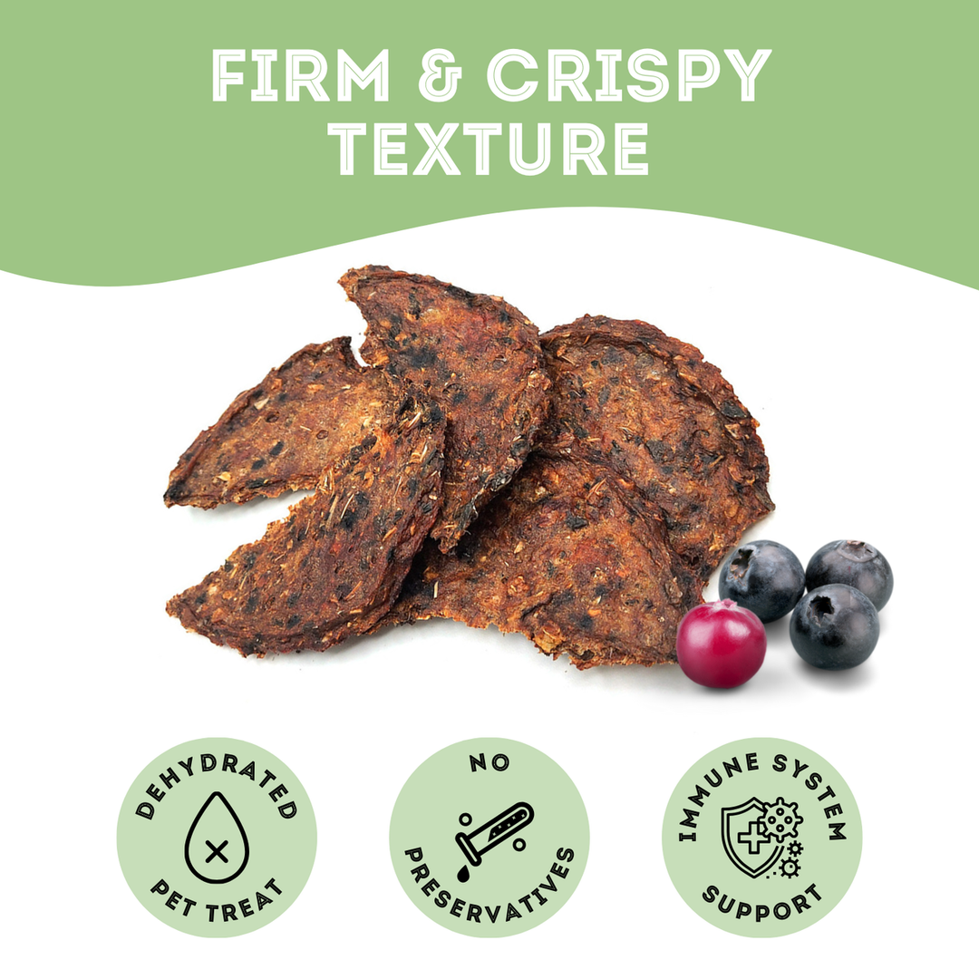Premium Dehydrated Protein Salmon, Cranberry & Blueberry Treat For Dogs & Cats
