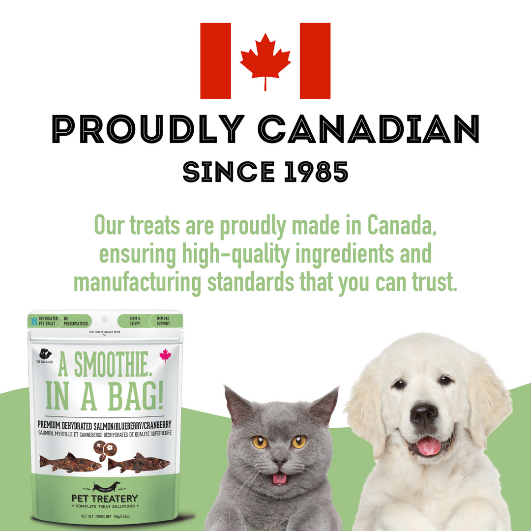 Premium Dehydrated Protein Salmon, Cranberry & Blueberry Treat For Dogs & Cats