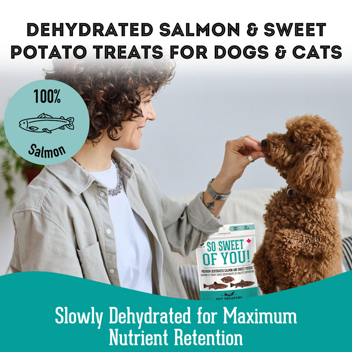 Premium Dehydrated Protein Salmon & Sweet Potato Treat For Dogs & Cats