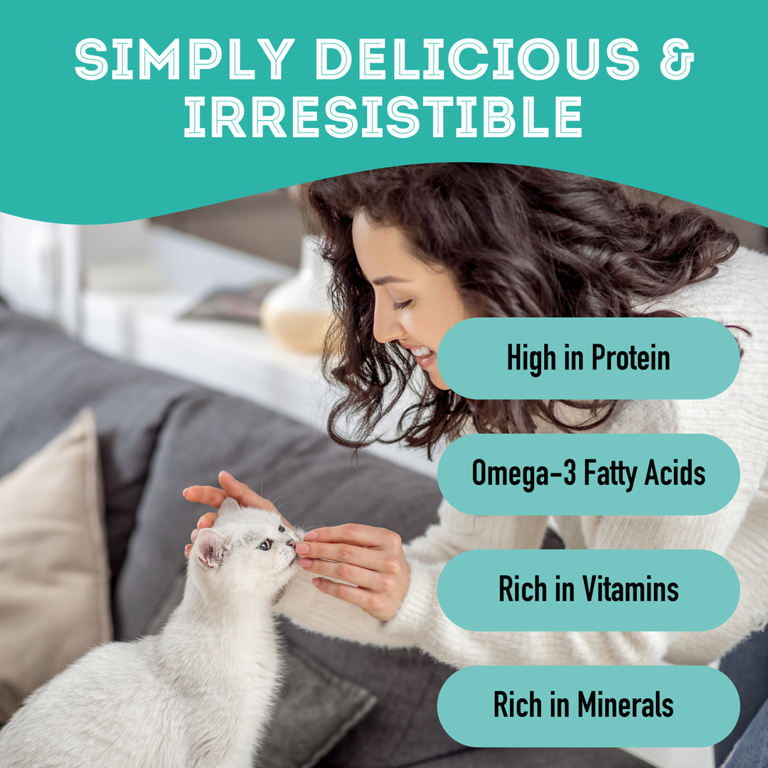Premium Dehydrated Protein Wild Salmon & Tuna Treat For Dogs & Cats