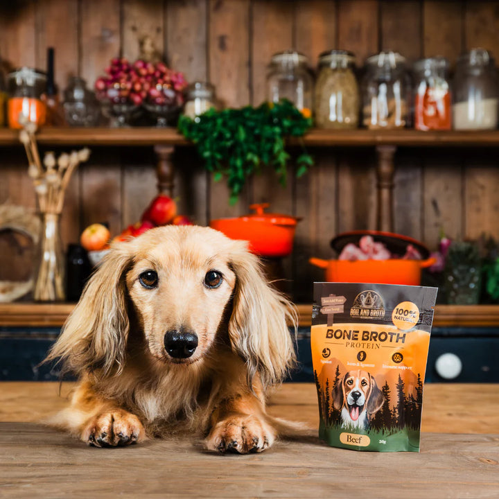 Beef Bone Broth for Dogs & Cats