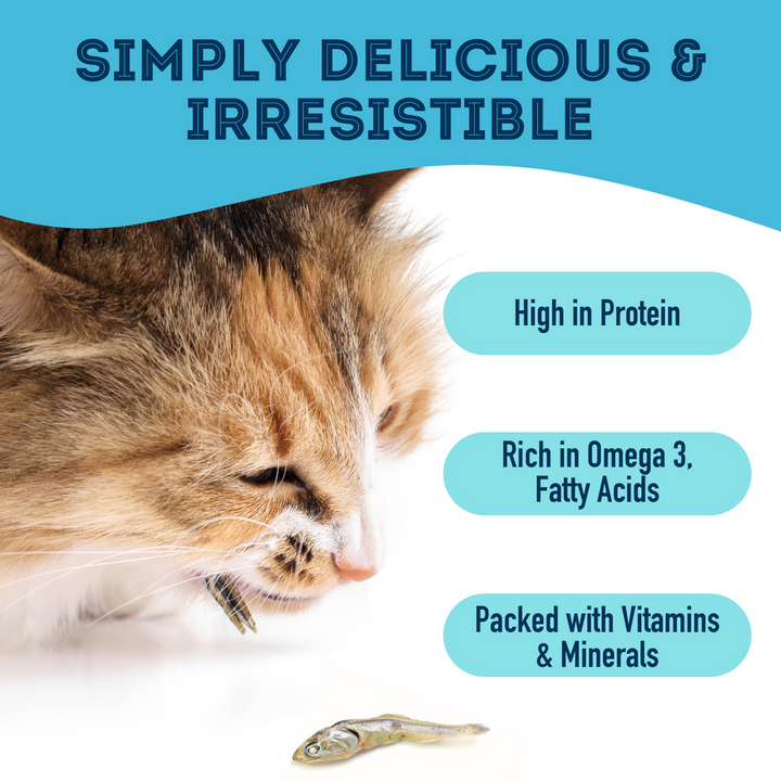 Premium Dehydrated Sardines Treat For Dogs & Cats
