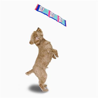 Super Firehose | Gummy Bear