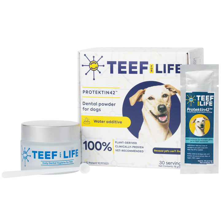 TEEF for Life - Protektin42™ - Dental Kit: Powder water additive for dogs