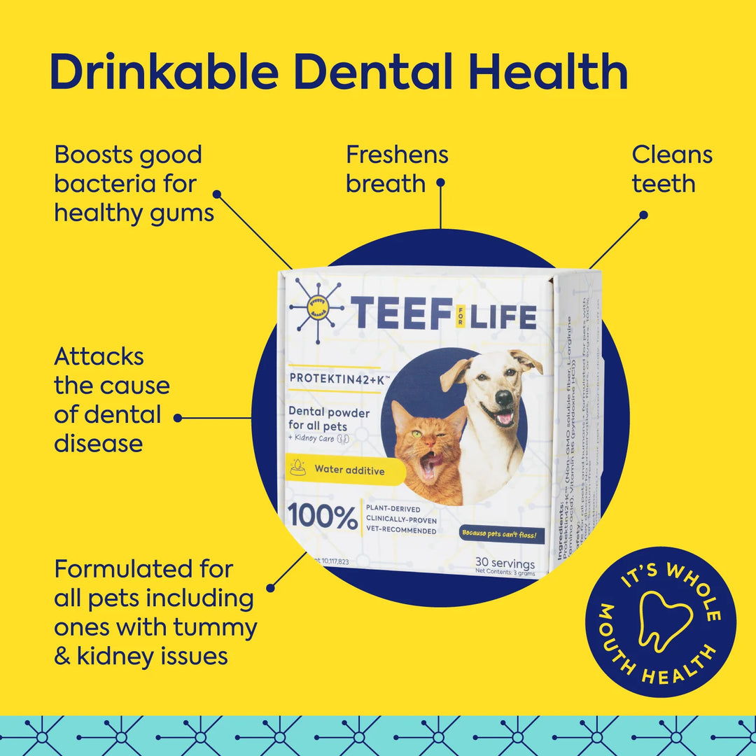 Dental Kits: Protektin42K - Prebiotic Dental Powder for All Pets