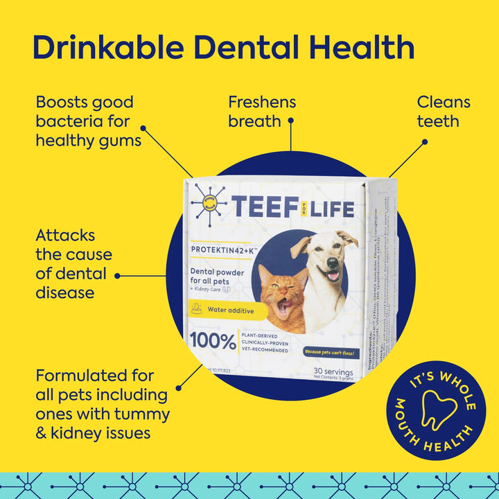 Dental Kits: Protektin42K - Prebiotic Dental Powder for All Pets