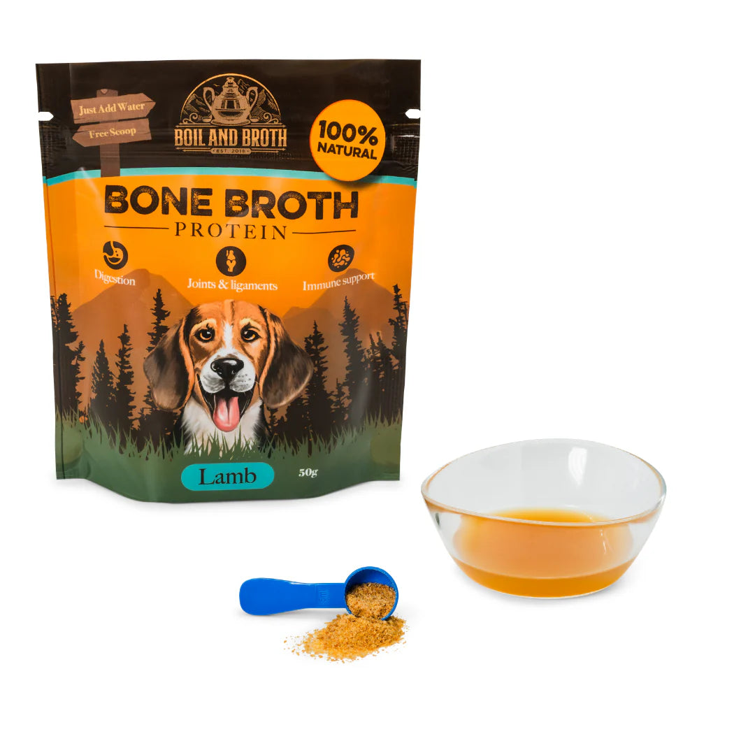 Lamb Bone Broth for Dogs & Cats