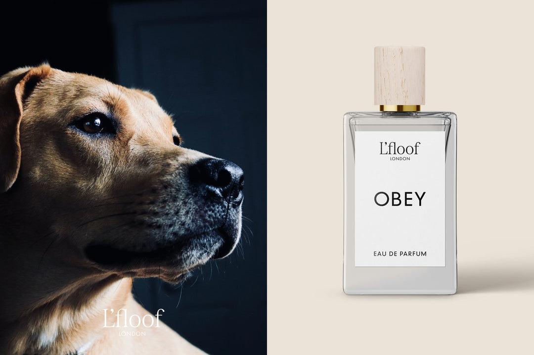 OBEY by L'floof London