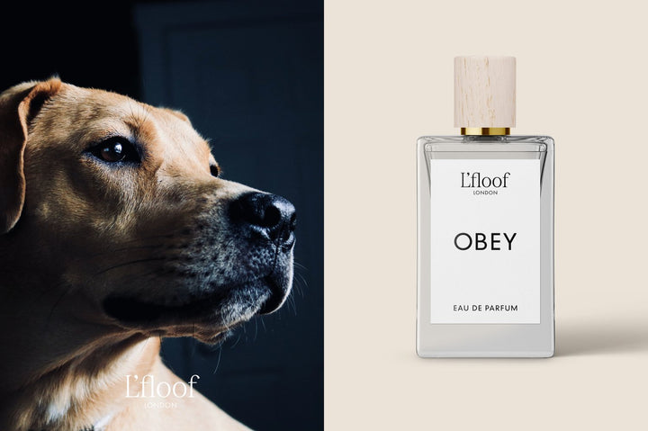 OBEY by L'floof London