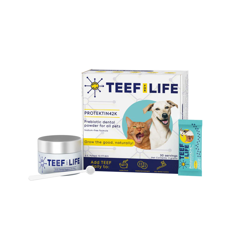 Dental Kits: Protektin42K - Prebiotic Dental Powder for All Pets