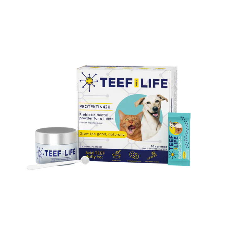 Dental Kits: Protektin42K - Prebiotic Dental Powder for All Pets