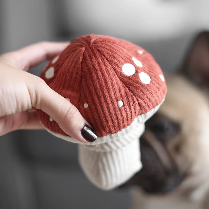 Shroom