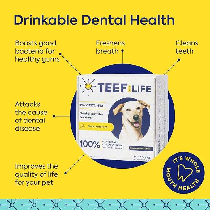 TEEF for Life - Protektin42™ - Dental Kit: Powder water additive for dogs