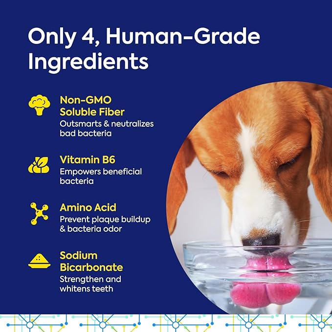 TEEF for Life - Protektin42™ - Dental Kit: Powder water additive for dogs