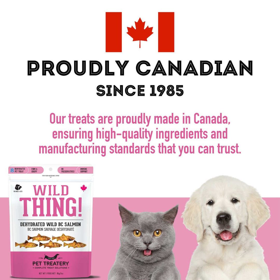 Premium Dehydrated Wild Salmon Treat For Dogs & Cats
