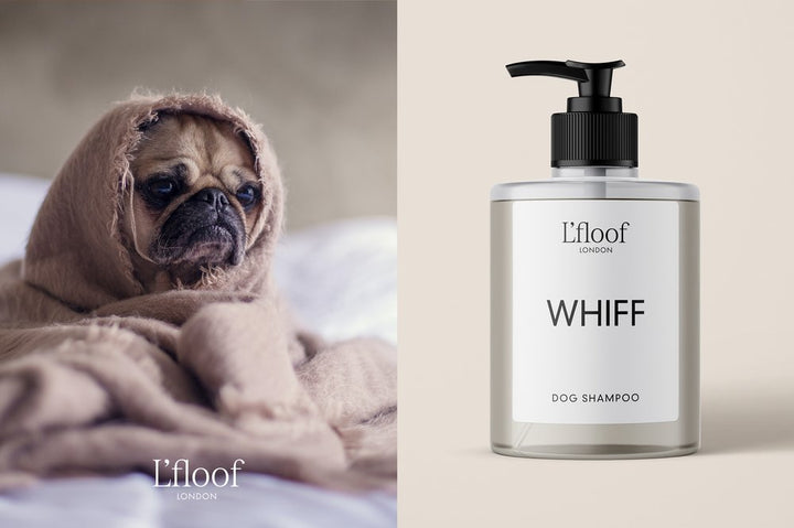 WHIFF By L'floof London