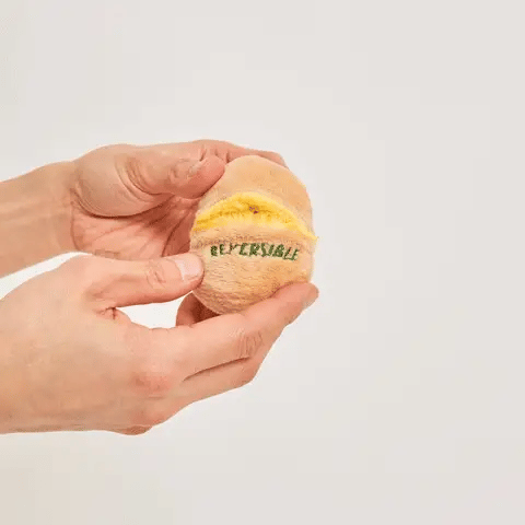 AAA+ Egg Nose Work Toy