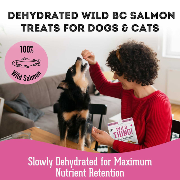Premium Dehydrated Wild Salmon Treat For Dogs & Cats