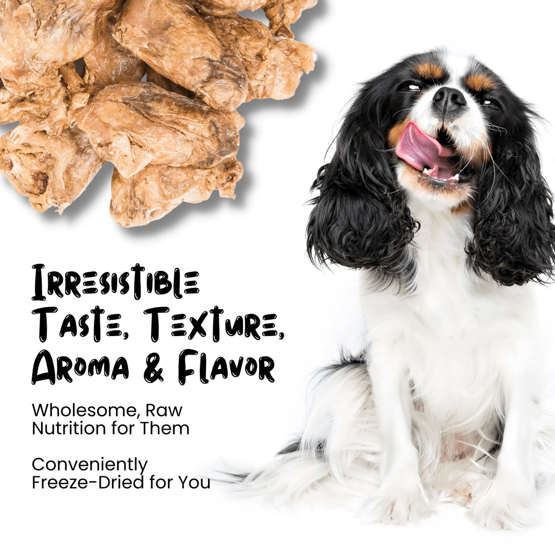 Freeze Dried Chicken Heart Treats for Cats & Dogs