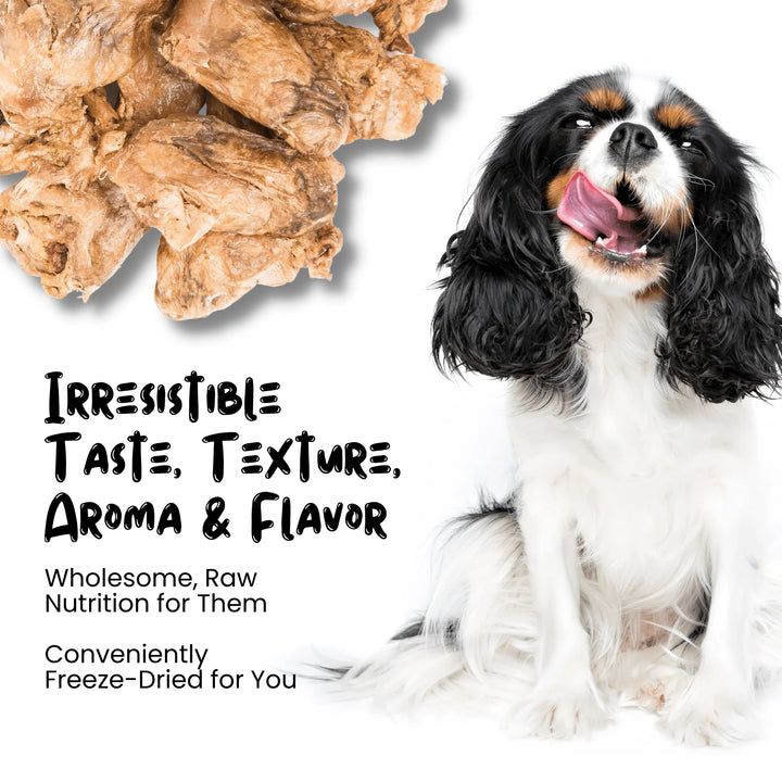 Freeze Dried Chicken Heart Treats for Cats & Dogs