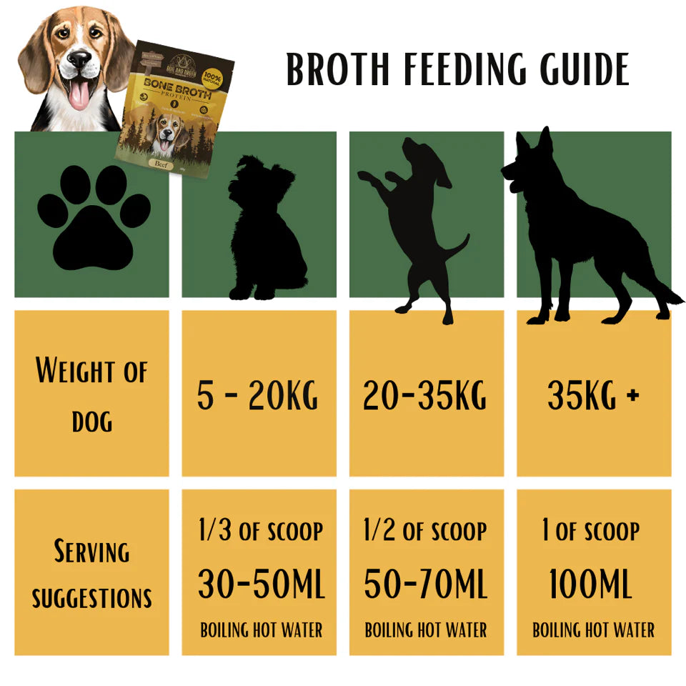 Chicken Bone Broth for Dogs & Cats